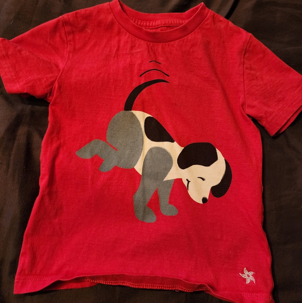 Boys 2 T  shirt